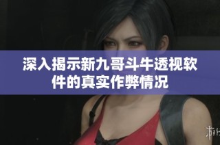 深入揭示新九哥斗牛透视软件的真实作弊情况