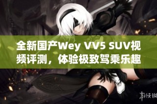 全新国产Wey VV5 SUV视频评测，体验极致驾乘乐趣