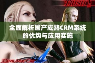 全面解析国产成熟CRM系统的优势与应用实施