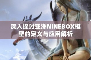 深入探讨亚洲NINEBOX模型的定义与应用解析