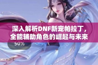 深入解析DNF新宠帕拉丁，全能辅助角色的崛起与未来发展