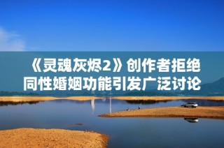 《灵魂灰烬2》创作者拒绝同性婚姻功能引发广泛讨论与争议