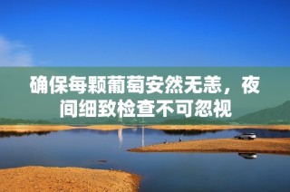 确保每颗葡萄安然无恙，夜间细致检查不可忽视