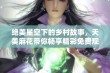 绝美星空下的乡村故事，天美麻花带你畅享精彩免费观看！