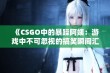 《CSGO中的暴躁阿姨：游戏中不可忽视的搞笑瞬间汇编》