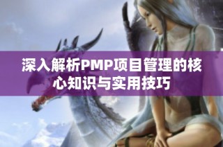 深入解析PMP项目管理的核心知识与实用技巧