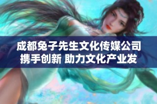 成都兔子先生文化传媒公司携手创新 助力文化产业发展