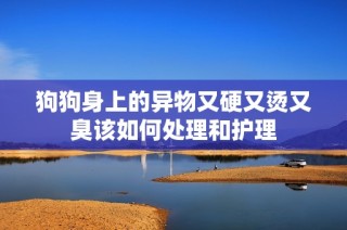 狗狗身上的异物又硬又烫又臭该如何处理和护理