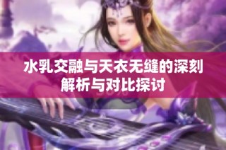 水乳交融与天衣无缝的深刻解析与对比探讨