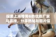 探索上海橙黄G的优质厂家与品牌，分享热帖与图片信息