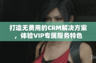 打造无费用的CRM解决方案，体验VIP专属服务特色