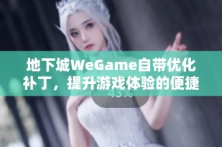 地下城WeGame自带优化补丁，提升游戏体验的便捷之选