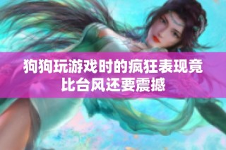 狗狗玩游戏时的疯狂表现竟比台风还要震撼