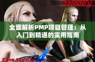 全面解析PMP项目管理：从入门到精通的实用指南