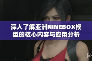 深入了解亚洲NINEBOX模型的核心内容与应用分析