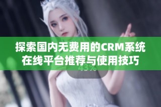 探索国内无费用的CRM系统在线平台推荐与使用技巧