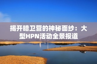 揭开暗卫营的神秘面纱：大型HPN活动全景报道