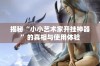 揭秘“小小艺术家开挂神器”的真相与使用体验