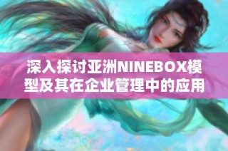 深入探讨亚洲NINEBOX模型及其在企业管理中的应用与价值