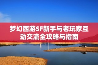 梦幻西游SF新手与老玩家互动交流全攻略与指南