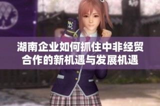 湖南企业如何抓住中非经贸合作的新机遇与发展机遇