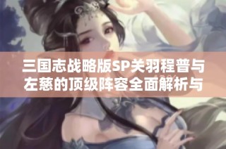三国志战略版SP关羽程普与左慈的顶级阵容全面解析与推荐