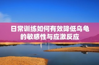 日常训练如何有效降低乌龟的敏感性与应激反应