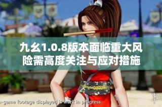 九幺1.0.8版本面临重大风险需高度关注与应对措施