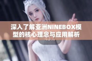 深入了解亚洲NINEBOX模型的核心理念与应用解析