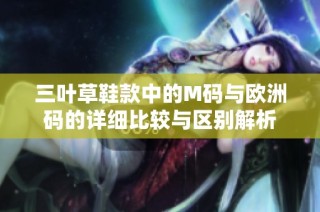 三叶草鞋款中的M码与欧洲码的详细比较与区别解析