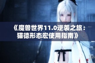 《魔兽世界11.0逆袭之旅：猫德形态宏使用指南》