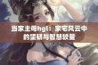 当家主母hgl：家宅风云中的坚韧与智慧较量