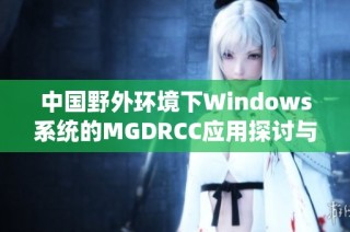 中国野外环境下Windows系统的MGDRCC应用探讨与研究