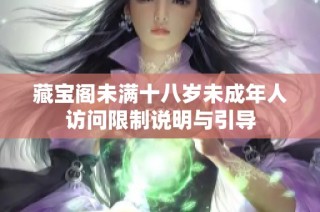 藏宝阁未满十八岁未成年人访问限制说明与引导