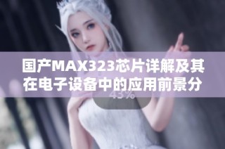 国产MAX323芯片详解及其在电子设备中的应用前景分析