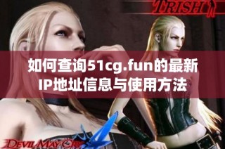 如何查询51cg.fun的最新IP地址信息与使用方法