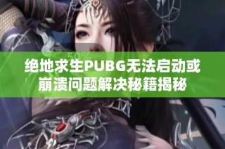 绝地求生PUBG无法启动或崩溃问题解决秘籍揭秘