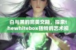 白与黑的完美交融，探索thewhitebox独特的艺术视角