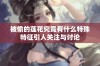 被偷的莲花究竟有什么特殊特征引人关注与讨论