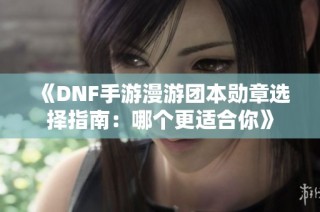 《DNF手游漫游团本勋章选择指南：哪个更适合你》