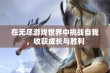 在无尽游戏世界中挑战自我，收获成长与胜利