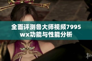 全面评测鲁大师视频7995wx功能与性能分析