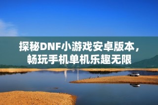 探秘DNF小游戏安卓版本，畅玩手机单机乐趣无限