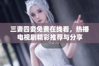 三妻四妾免费在线看，热播电视剧精彩推荐与分享