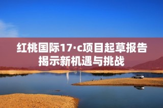 红桃国际17·c项目起草报告揭示新机遇与挑战