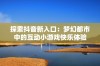 探索抖音新入口：梦幻都市中的互动小游戏快乐体验