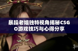 暴躁老姐独特视角揭秘CSGO游戏技巧与心得分享