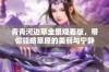 青青河边草全景观看版，带你领略草原的美丽与宁静