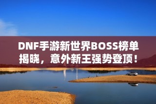 DNF手游新世界BOSS榜单揭晓，意外新王强势登顶！