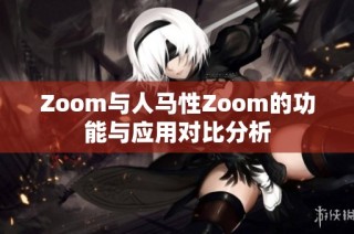 Zoom与人马性Zoom的功能与应用对比分析